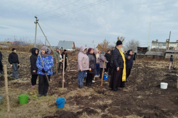 По инициативе священника в селе Глядянском возле школы появился яблоневый сад