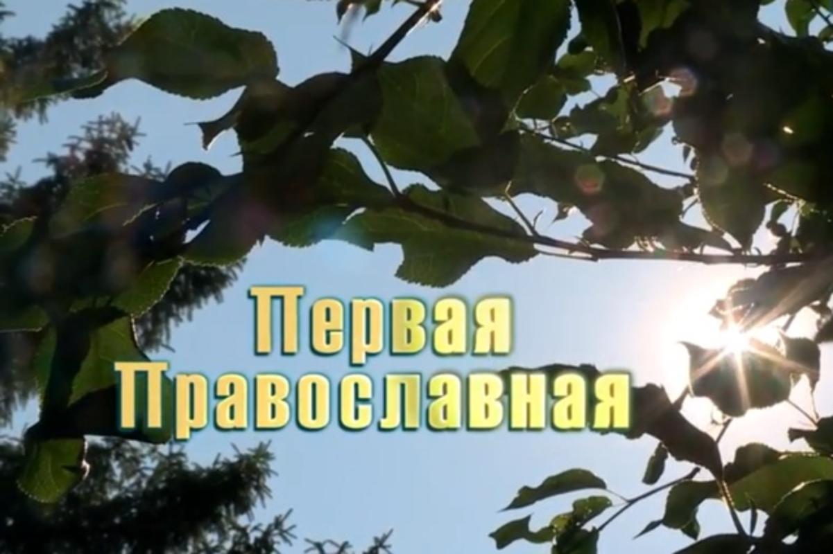  Презентация фильма Курганской епархии об Александро-Невской гимназии пройдет 30 октября в Юговке