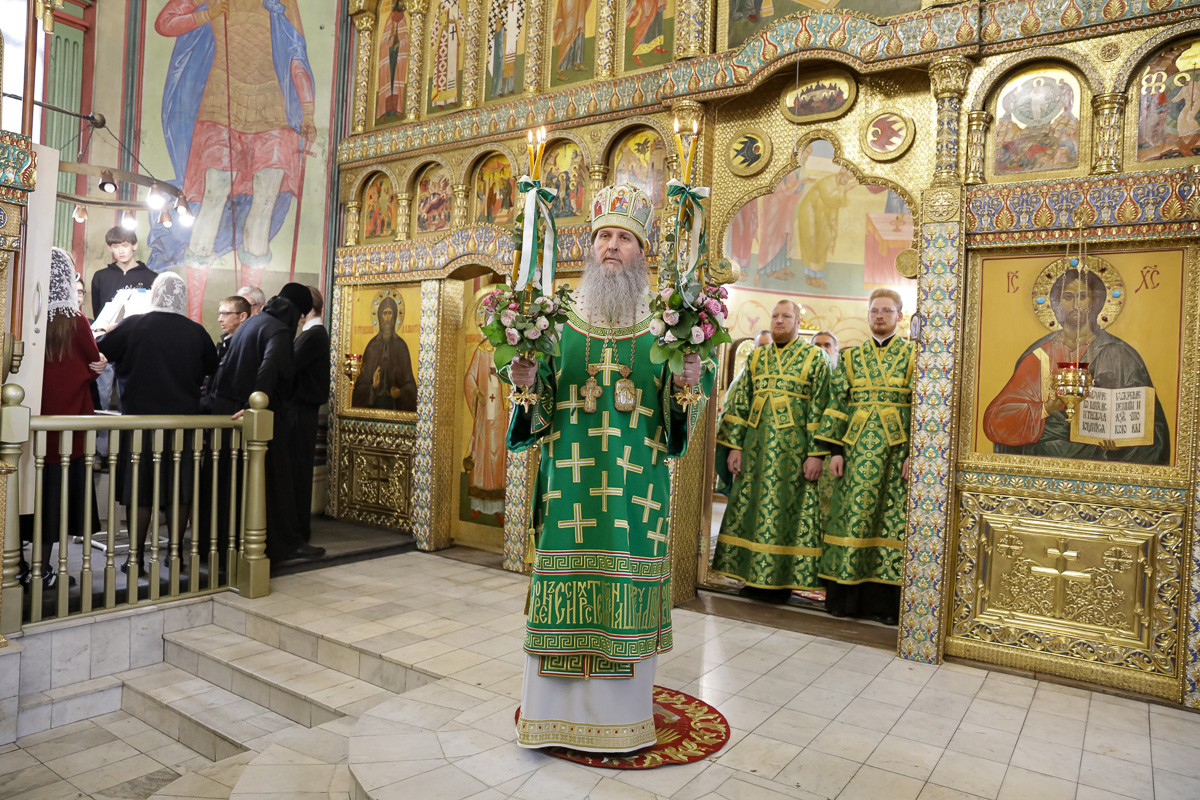 Проповедь в Воскресенье Вход Господин в Иерусалим. Освящение верб