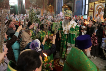 Митрополит Даниил на Всенощном бдении в двунадесятый праздник освятил вербы