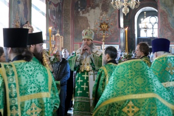 Митрополит Даниил: В знак нашей духовной победы мы держим в руках вербы