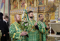 Митрополит Даниил в праздник Входа Господня в Иерусалим освятил вербы в Александро-Невском соборе