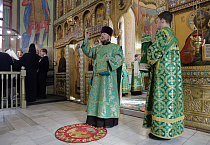 Митрополит Даниил в праздник Входа Господня в Иерусалим освятил вербы в Александро-Невском соборе