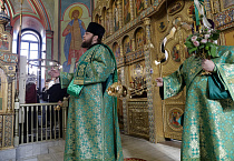 Митрополит Даниил в праздник Входа Господня в Иерусалим освятил вербы в Александро-Невском соборе