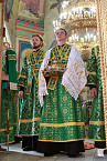 В праздник Входа Господня в Иерусалим митрополит Даниил освятил вербы в Александро-Невском соборе