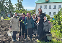 Зауральские прихожане высадили картофель на храмовом огороде