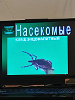 В храме Зауралья продолжаются занятия в рамках медицинского практикума