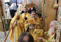 Митрополит Ташкентский и Узбекистанский Викентий: «Церковь является средоточием милосердия и сострадания к ближним»