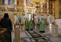Митрополит Даниил: «Нельзя спастись, ничего не делая»