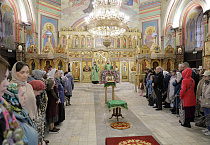 Митрополит Даниил на Всенощном бдении в Александро-Невском соборе освятил вербы