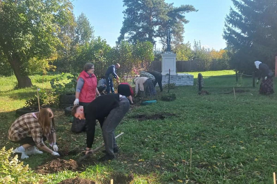 На территории Введенского храма появились новые кустарники
