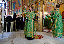 В праздник Входа Господня в Иерусалим митрополит Даниил освятил вербы в Александро-Невском соборе