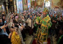 В праздник Входа Господня в Иерусалим митрополит Даниил освятил вербы в Александро-Невском соборе