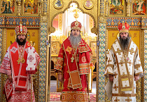 Митрополит Даниил возглавил в Кургане Литургию в день своего тезоименитства