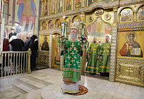Митрополит Даниил в праздник Входа Господня в Иерусалим освятил вербы в Александро-Невском соборе
