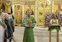 Митрополит Даниил на Всенощном бдении в Александро-Невском соборе освятил вербы