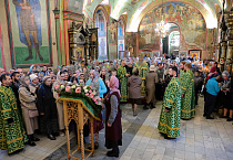 В праздник Входа Господня в Иерусалим митрополит Даниил освятил вербы в Александро-Невском соборе