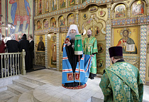Митрополит Даниил в праздник Входа Господня в Иерусалим освятил вербы в Александро-Невском соборе