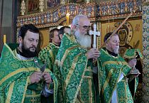 Митрополит Даниил: В знак нашей духовной победы мы держим в руках вербы
