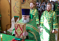 В праздник Входа Господня в Иерусалим митрополит Даниил освятил вербы в Александро-Невском соборе