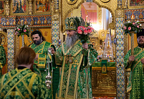 В праздник Входа Господня в Иерусалим митрополит Даниил освятил вербы в Александро-Невском соборе