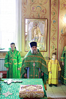 В праздник Входа Господня в Иерусалим митрополит Даниил освятил вербы в Александро-Невском соборе