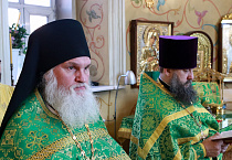 В праздник Входа Господня в Иерусалим митрополит Даниил освятил вербы в Александро-Невском соборе
