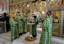 Митрополит Даниил в праздник Входа Господня в Иерусалим освятил вербы в Александро-Невском соборе