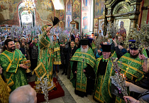 В праздник Входа Господня в Иерусалим митрополит Даниил освятил вербы в Александро-Невском соборе