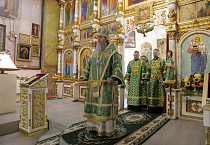 Митрополит Даниил: «Нельзя спастись, ничего не делая»
