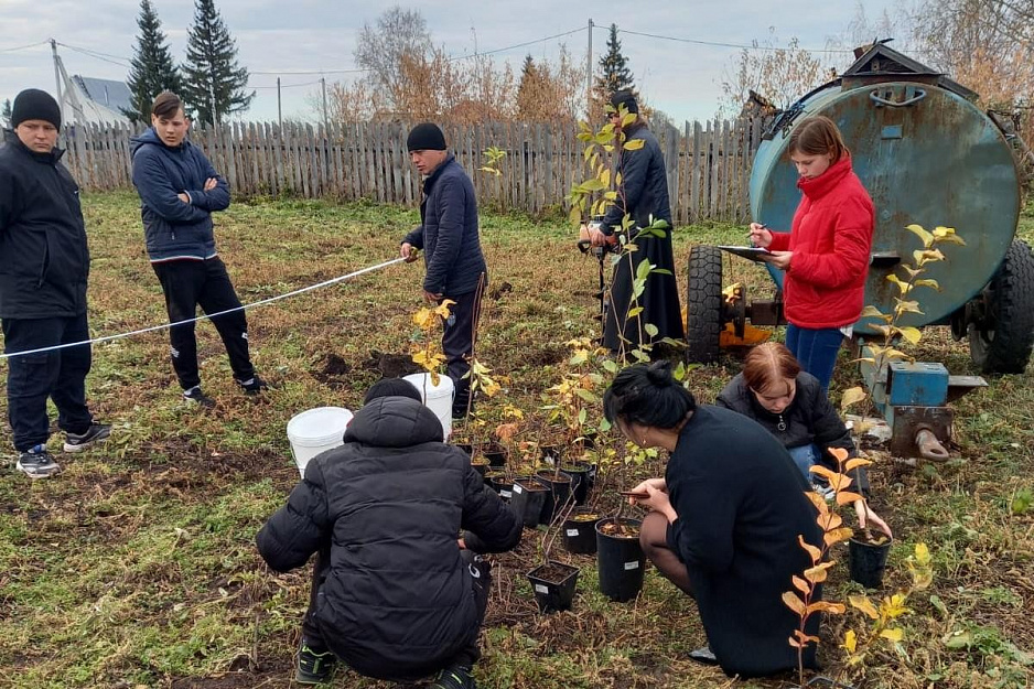 В Чимеевском монастыре начались работы по устройству фруктового сада