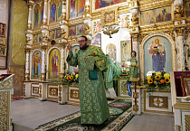 Митрополит Даниил: «Нельзя спастись, ничего не делая»