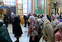Митрополит Даниил: «Отцы Церкви пишут, что милосердие превосходит все добродетели»