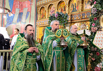 В день Святого Духа в Зауралье торжественно встретили мощи святителя Тихона