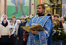 Престольный праздник Александро-Невского кафедрального собора встретили в Кургане