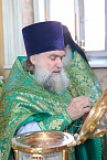 Митрополит Даниил в праздник Входа Господня в Иерусалим освятил вербы в Александро-Невском соборе
