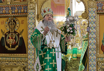 Митрополит Даниил в праздник Входа Господня в Иерусалим освятил вербы в Александро-Невском соборе