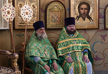 Митрополит Даниил в праздник Входа Господня в Иерусалим освятил вербы в Александро-Невском соборе