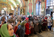 В праздник Входа Господня в Иерусалим митрополит Даниил освятил вербы в Александро-Невском соборе