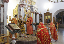 2 ноября Русская Православная Церковь отметила 100-летие кончины священномученика пресвитера Николая Любомудрова