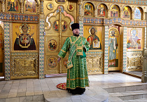В праздник Входа Господня в Иерусалим митрополит Даниил освятил вербы в Александро-Невском соборе
