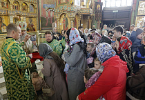 Митрополит Даниил в праздник Входа Господня в Иерусалим освятил вербы в Александро-Невском соборе