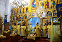 Митрополит Даниил поздравил епископа Шадринского и Далматовского Владимира с 60-летием