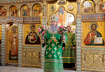 В праздник Входа Господня в Иерусалим митрополит Даниил освятил вербы в Александро-Невском соборе