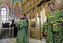Митрополит Даниил в праздник Входа Господня в Иерусалим освятил вербы в Александро-Невском соборе