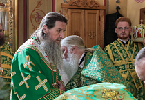 Митрополит Даниил в праздник Входа Господня в Иерусалим освятил вербы в Александро-Невском соборе