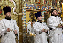 Праздник Крещения Господня встретили в храмах Курганской епархии
