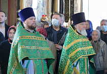 Митрополит Даниил: В знак нашей духовной победы мы держим в руках вербы
