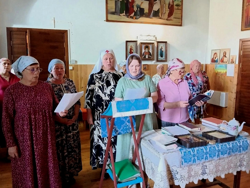 Помощь нуждающимся доставили в село Большое Раково сёстры милосердия