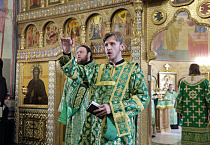 Митрополит Даниил в праздник Входа Господня в Иерусалим освятил вербы в Александро-Невском соборе